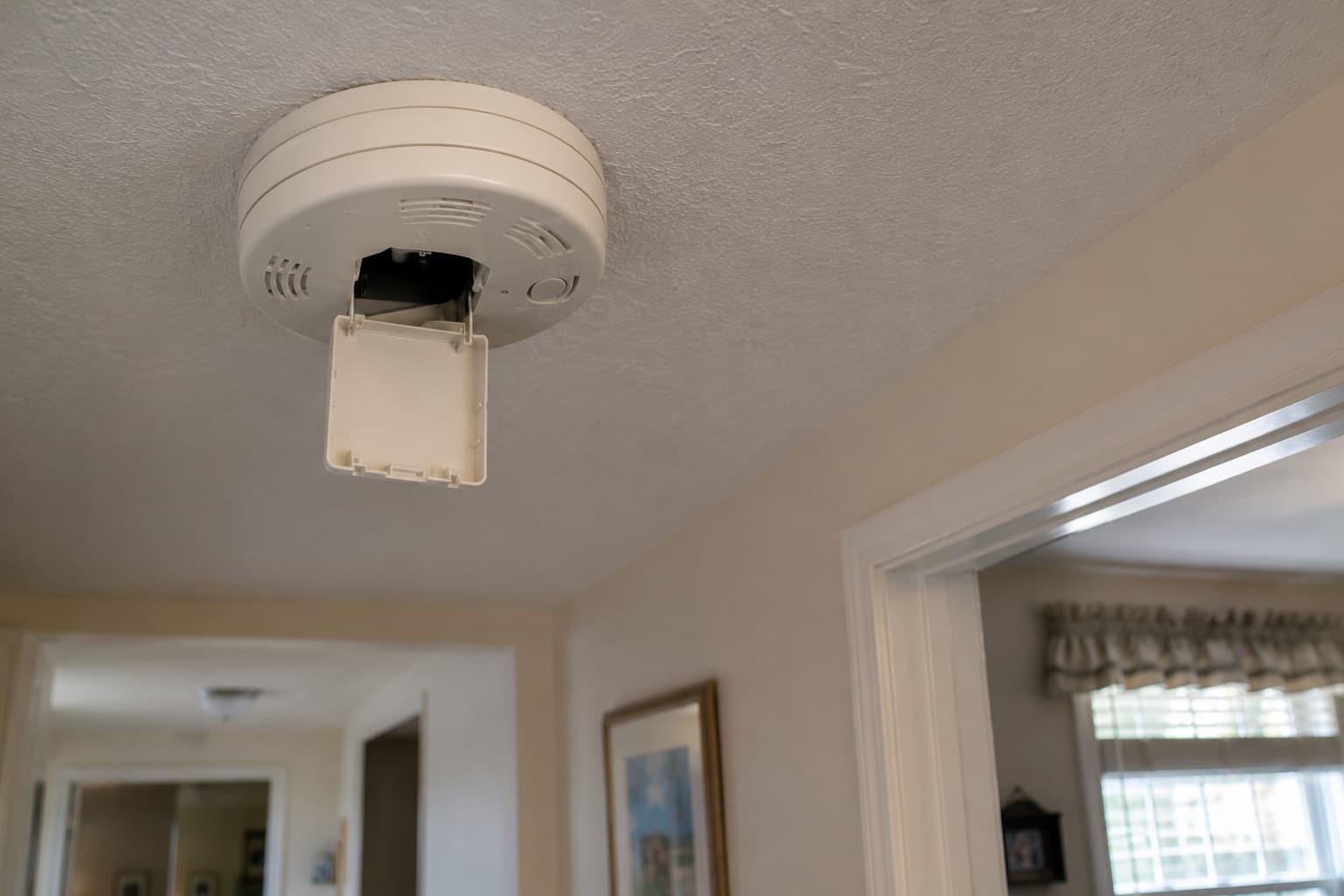 Smoke or carbon monoxide detector safety concern
