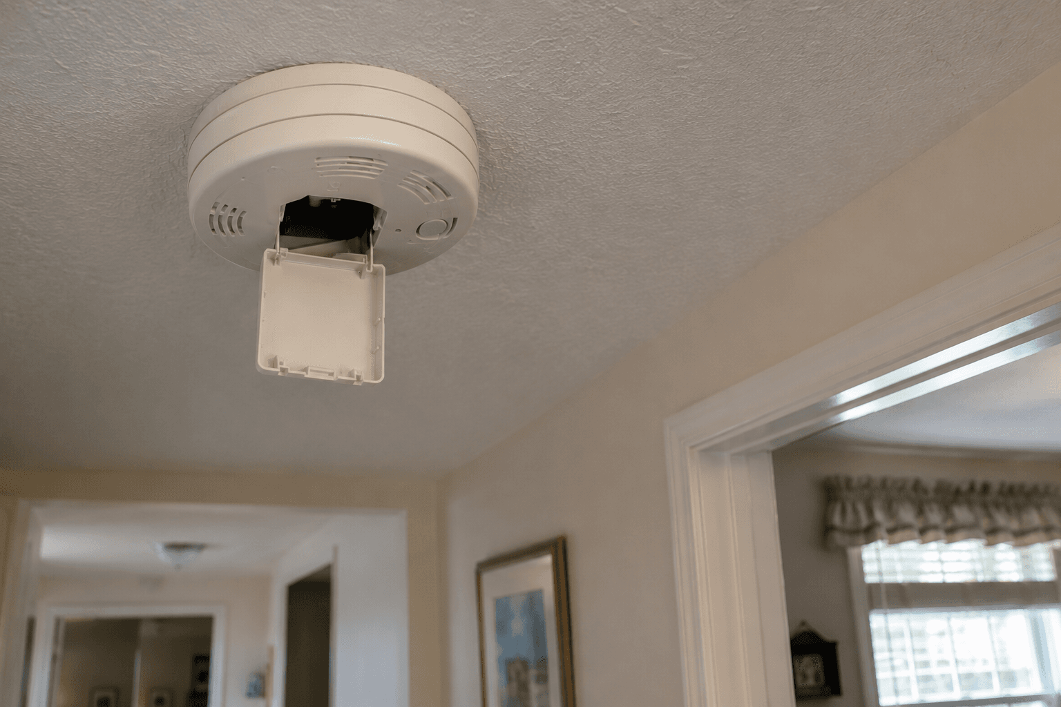 Smoke or carbon monoxide detector safety concern