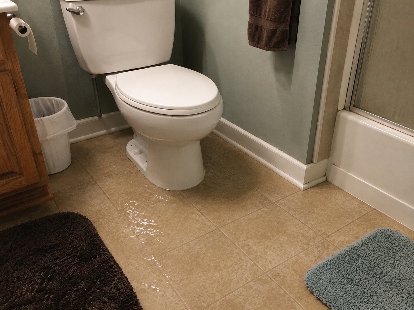 Toilet overflow creating a water and slip hazard